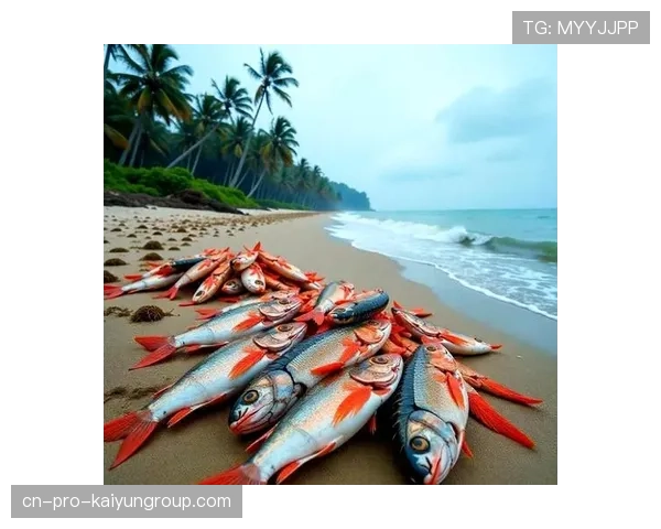 台风过后惠州海滩海鲜满满，惠州台风季节是几月份